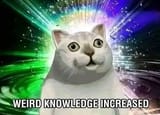 weird_knowledge_increase