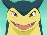 typhlosion is a sick freak