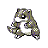 greyshrew