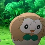 rowlet-angustiado