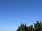 IMG_2522