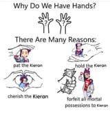 Why do we have hands 2