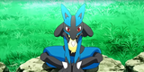 lucario-sitting-pokemon-anime