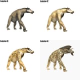 introducing-my-creature-concept-for-the-chalicotherium-v0-4z0mmkvb60ge1[1]