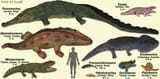 Temnospondyls[1]