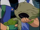 celebi dead