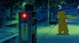Kari and Agumon
