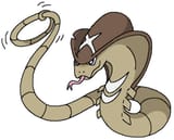 Arbok-A