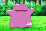 Ditto_Number_1