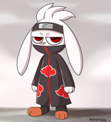 rabbitsuki