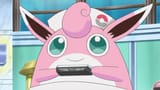 Nurse-Joy-Wigglytuff
