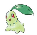 Chikorita