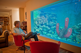 aquarium wugtrio
