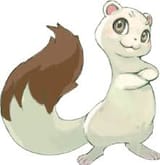 koppa