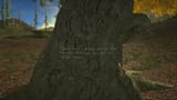 thefirst-TREE