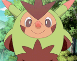 quilladin has something for you