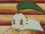 chikohmmph