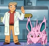 Nidoak