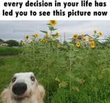 1741480067437