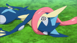 Thread 58022492 OP Image
