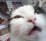 aaaaaaaaa