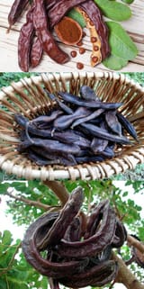 carob