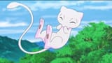 mew laughing at retarded anon