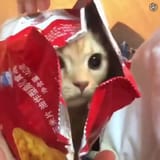 6878