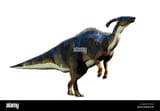 a-parasaurolophus-a-type-of-herbivorous-ornithopod-dinosaur-of-the-hadrosaur-family-stands-on-two-legs-and-calls-out-on-a-solid-white-background-T00F2J