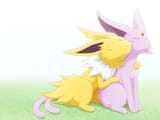 Jolteon and Espeon