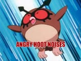 hoothootangry