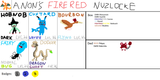 Anon&#039;s FireRed Run