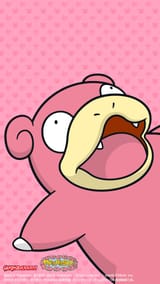 76b8f2d9ad9c149a22d7130bd98d5ca9