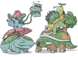 venusaurtorterra