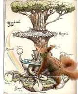 images[1]