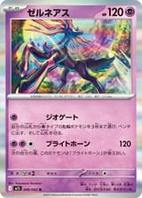 047842_P_ZERUNEASU