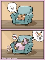 196 197 Pairing 1277 Sleeping on chair @nekonon_syano @76039435
