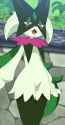meows bliss_thumb.jpg