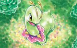 cPK_10_008660_00_MEGANIUM_R_L_ILL