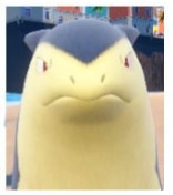 Typhlosion (1)
