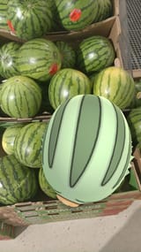 melon among melons