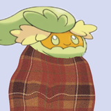 Comfy Comfey