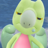 icon_20