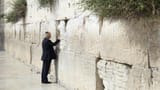 TrumpXwall