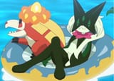 Beach meow