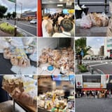 whoops-all-food