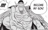 whitebeard