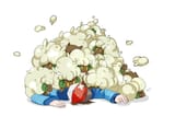 13810461_p0 whimsicott