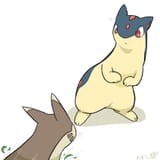 __furret_and_quilava_pokemon_drawn_by_0bon__sample-530c5bb12aa5d10990fc7073c3074c42