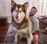 massive dog